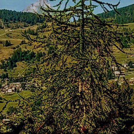 Chez Tonton Wi-Fi Villa Aosta Bagian luar foto