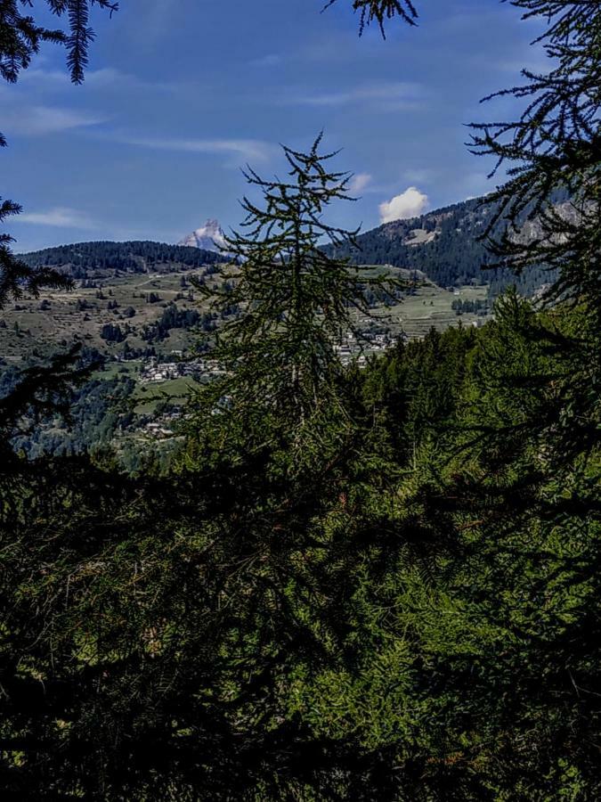 Chez Tonton Wi-Fi Villa Aosta Bagian luar foto