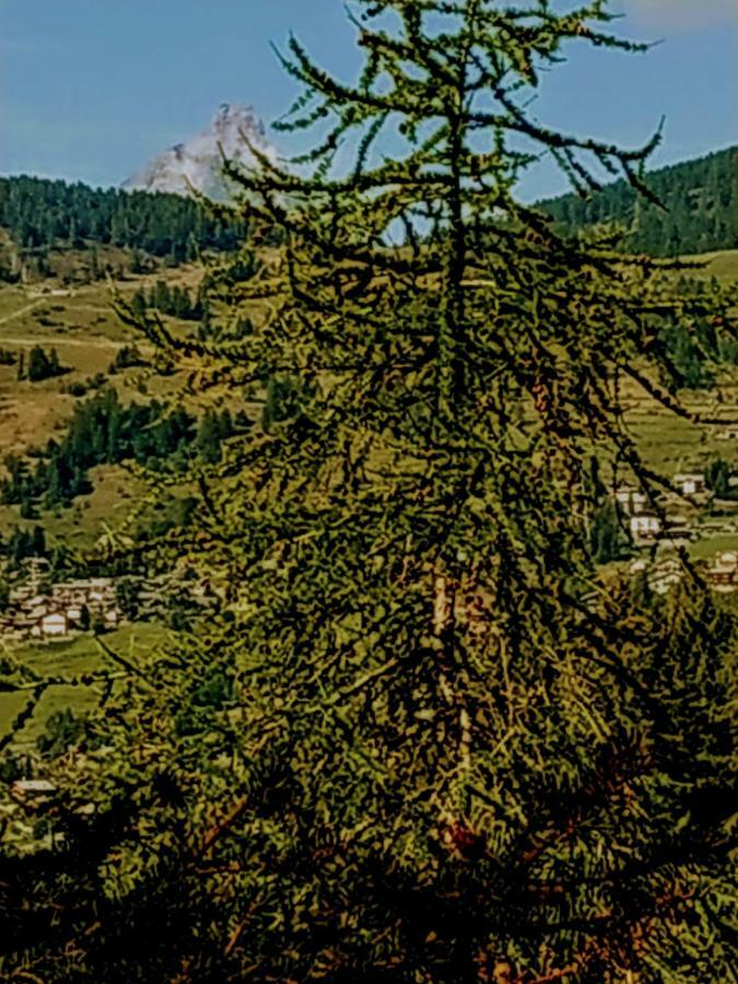 Chez Tonton Wi-Fi Villa Aosta Bagian luar foto