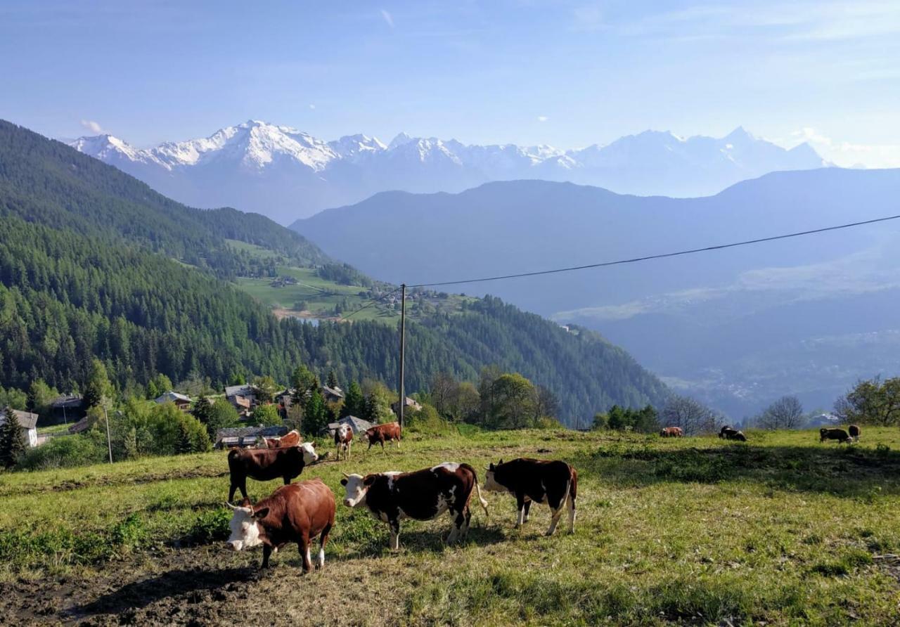 Chez Tonton Wi-Fi Villa Aosta Bagian luar foto
