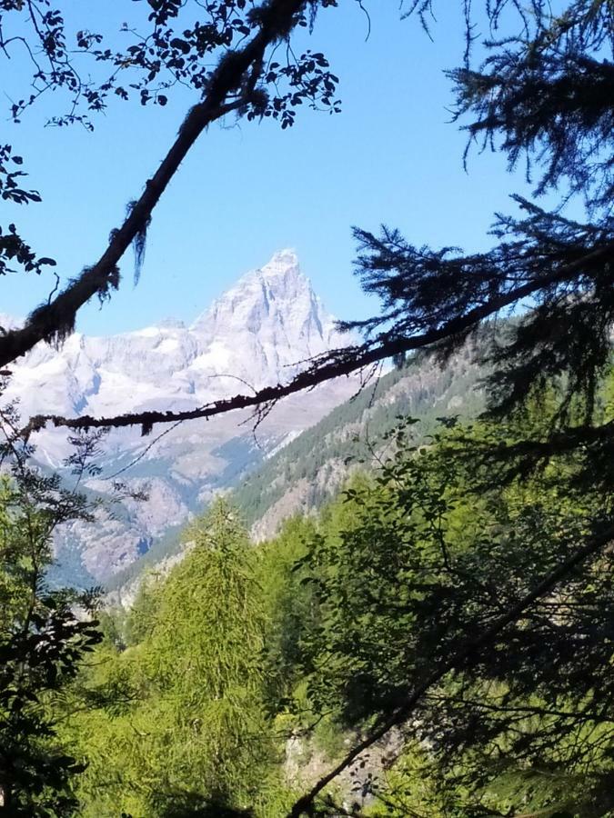 Chez Tonton Wi-Fi Villa Aosta Bagian luar foto